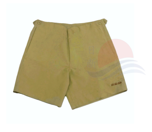 DLS Boy's Shorts